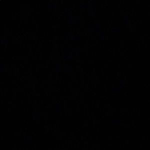 Meet your Posher, Farsha